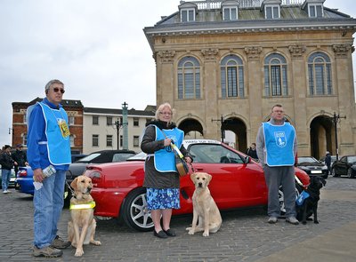 Guide Dogs in the Market Square