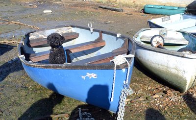 Talking of Max, here he is ready to go sailing