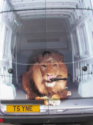 I could have sworn I saw a Lion in the back of the van....
