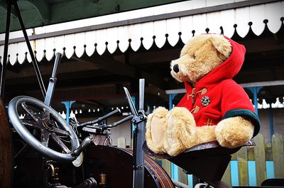 Driving a traction engine at Hollycombe